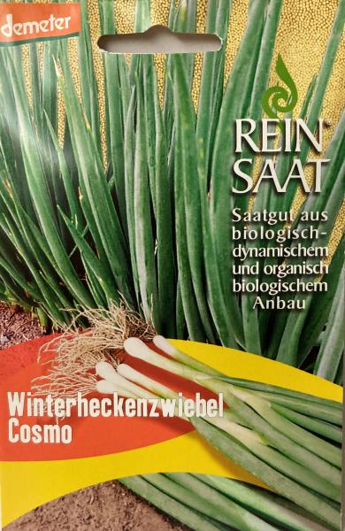 Winterheckenzwiebel Cosmo - Saatgut - Samen - Demeter - aus biologischem Anbau